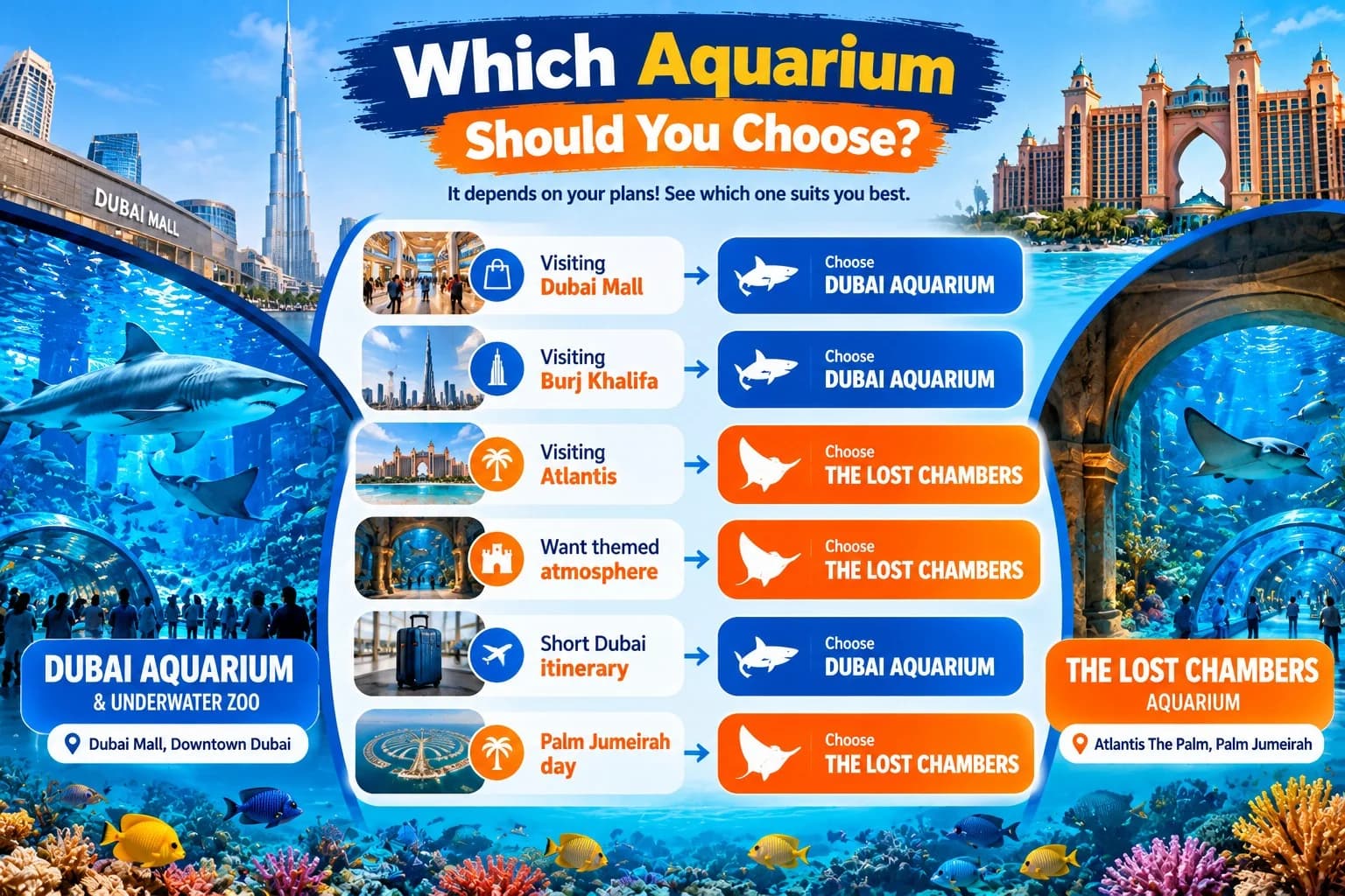 Which Aquarium Should You Choose Decision Comparison Banner