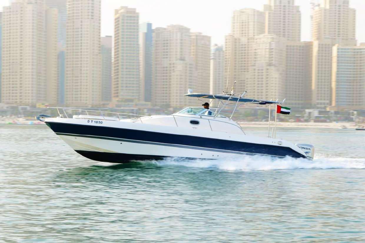 Shared Yacht