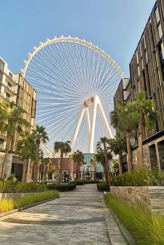 Ain Dubai - World's Tallest Observation Wheel — photo 3 of 5