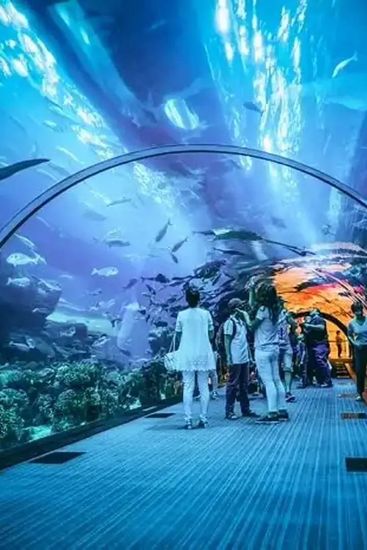 Burj Khalifa + Dubai Aquarium — photo 5 of 5
