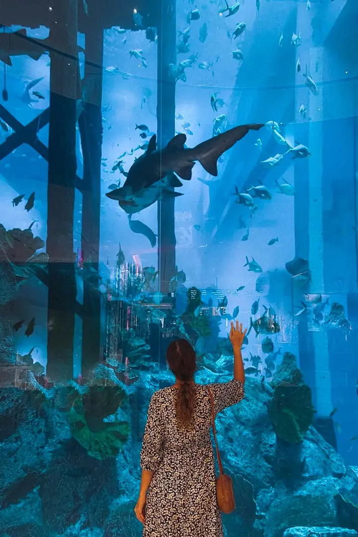 Dubai Aquarium & Underwater Zoo in Downtown Dubai — book with Flyout Tours