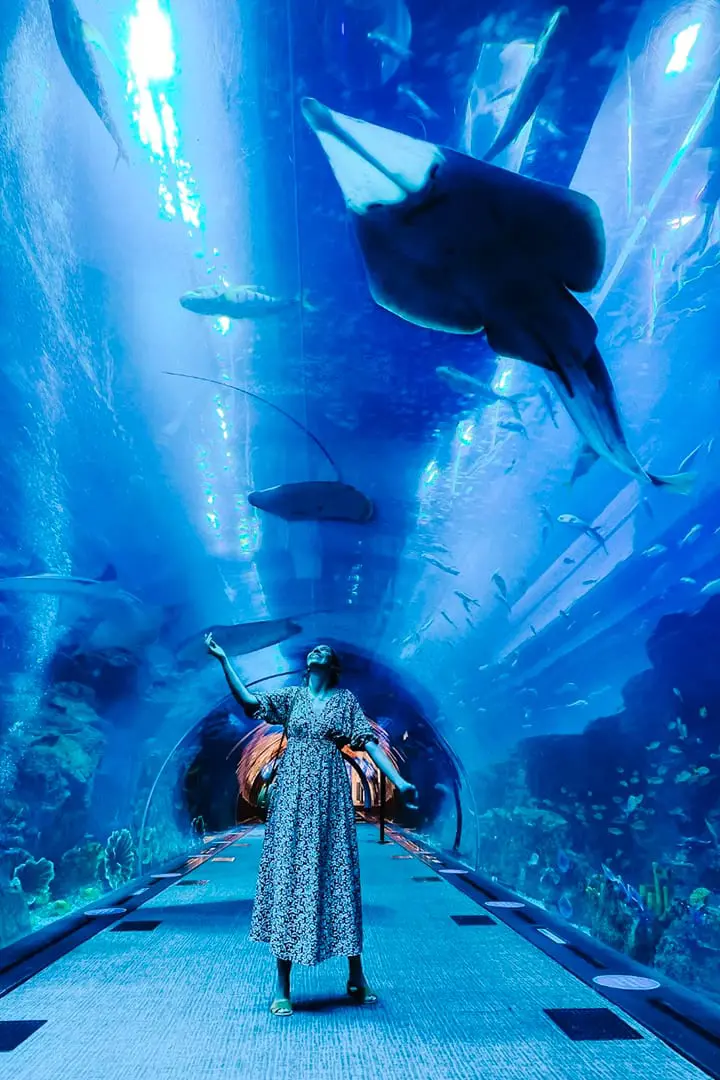 Dubai Aquarium & Underwater Zoo — photo 2 of 4