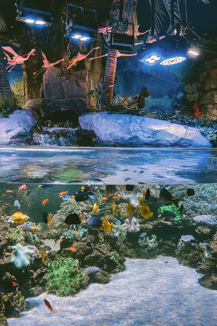 Dubai Aquarium & Underwater Zoo — photo 3 of 4