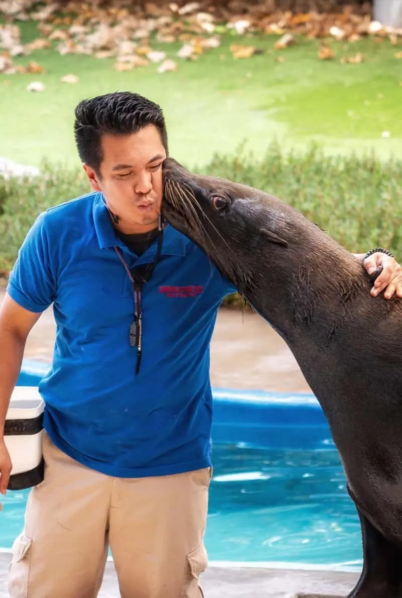 Emirates Park Zoo & Resort — Dubai tour experience with Flyout Tours