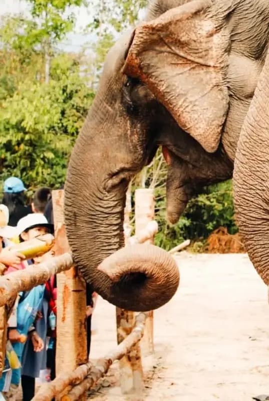 Emirates Park Zoo & Resort — photo 2 of 5