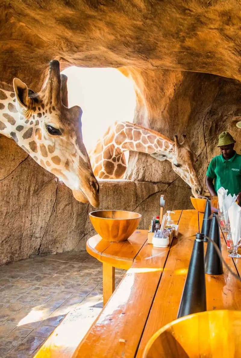 Emirates Park Zoo & Resort — photo 3 of 5