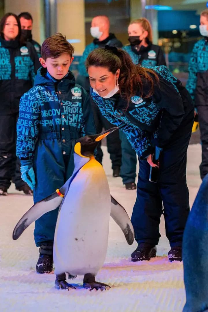 Ski Dubai in Mall of the Emirates, Dubai — book with Flyout Tours