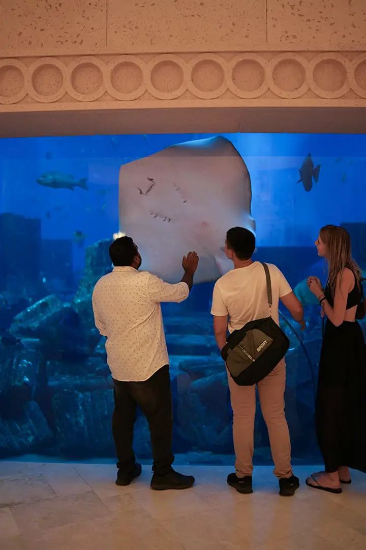 The Lost Chambers Aquarium — photo 2 of 5