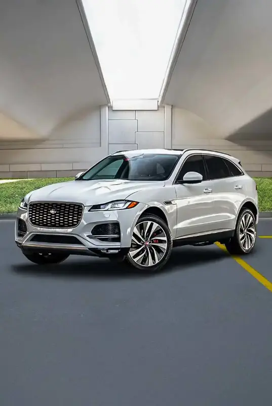 Jaguar — photo 1 of 4