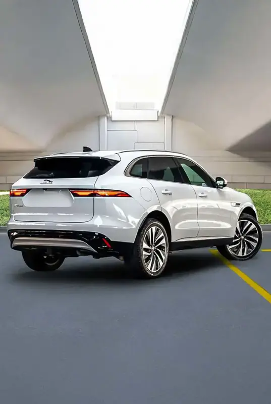 Jaguar — photo 2 of 4