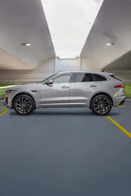 Jaguar — photo 3 of 4