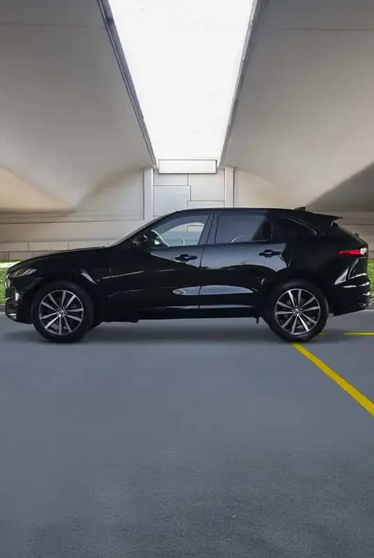 Jaguar — photo 4 of 4
