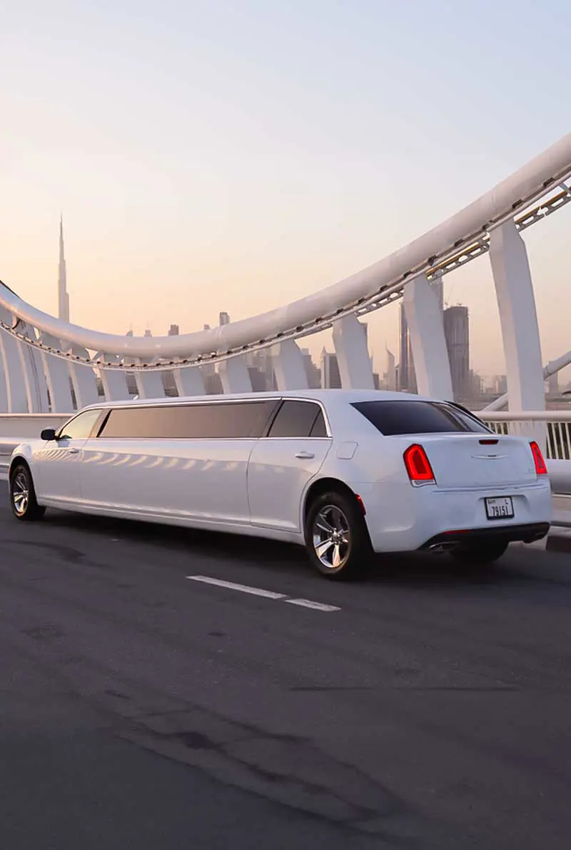 Private Luxury Limousine — photo 5 of 7