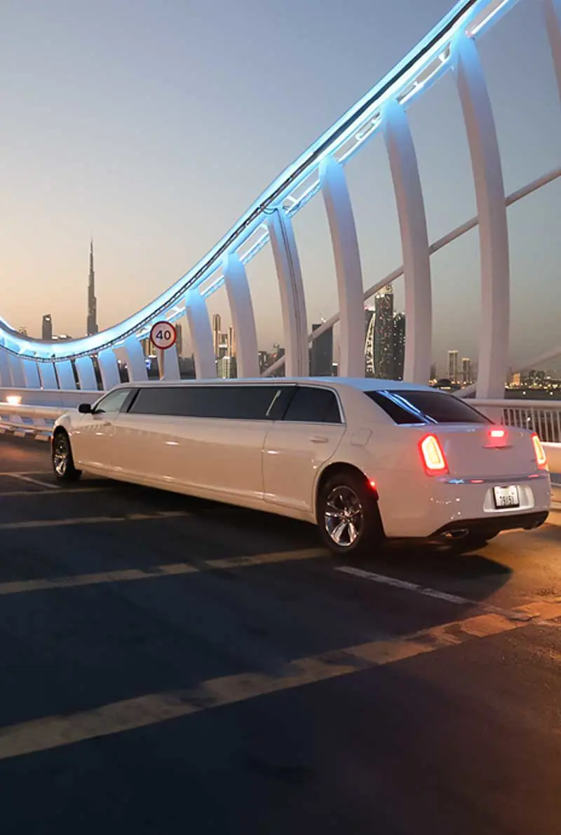 Private Luxury Limousine — photo 6 of 7
