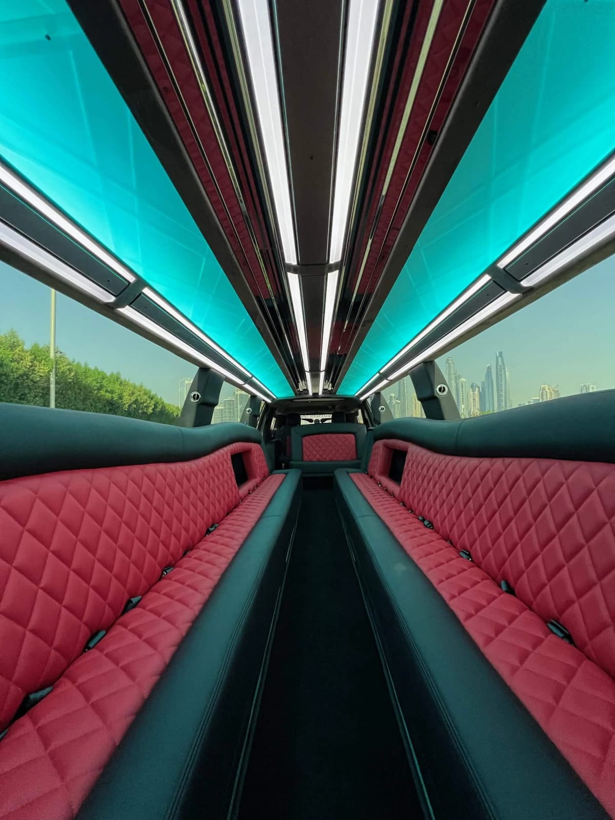 Denali 2.0 Limousine — photo 4 of 5