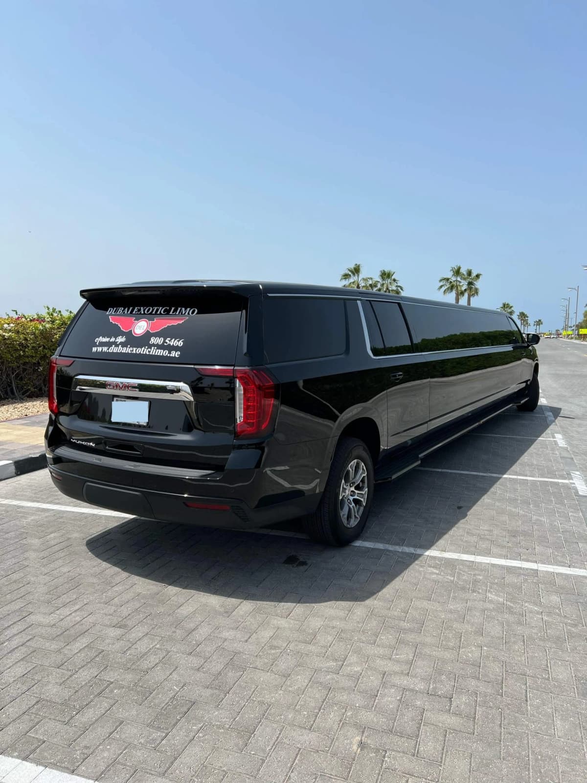 Denali 2.0 Limousine — photo 5 of 5