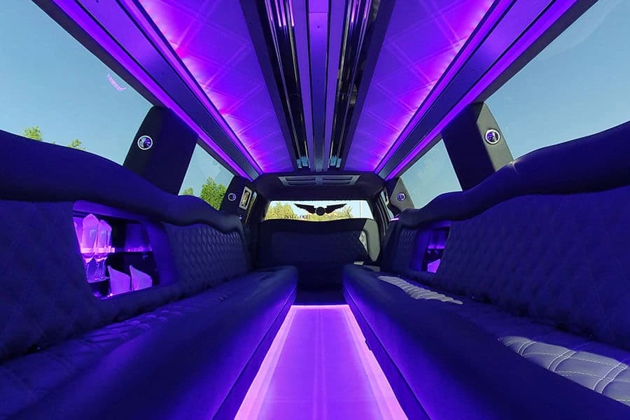 Ford Raptor Limousine — photo 3 of 5