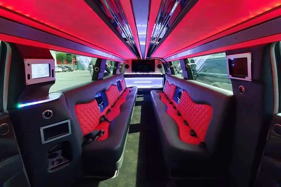 Nissan Patrol Limousine — photo 4 of 6