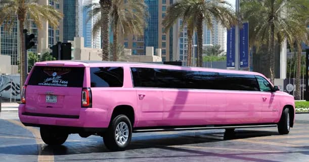 PINK Panther GMC Limousine — photo 1 of 5