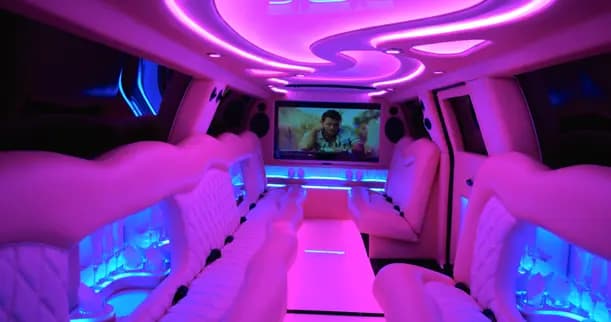PINK Panther GMC Limousine — photo 3 of 5