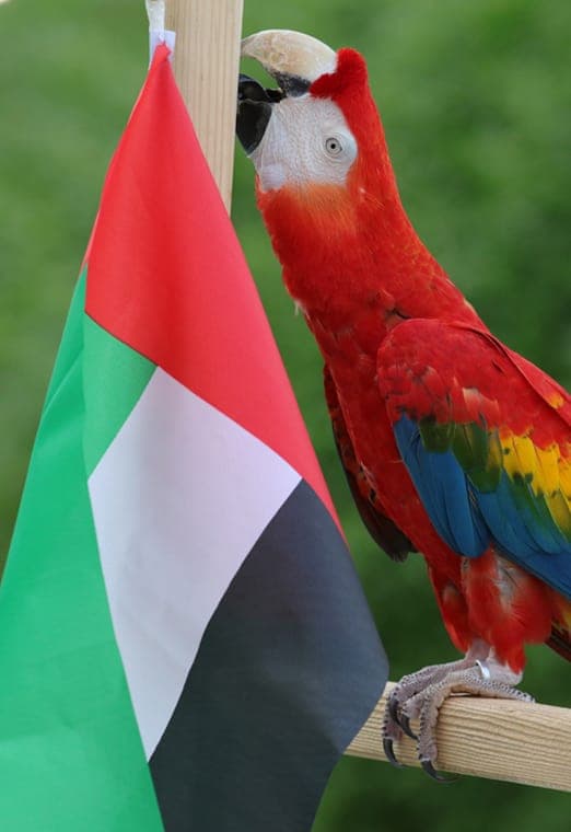 Creek Park Exotic Bird Show — photo 1 of 8