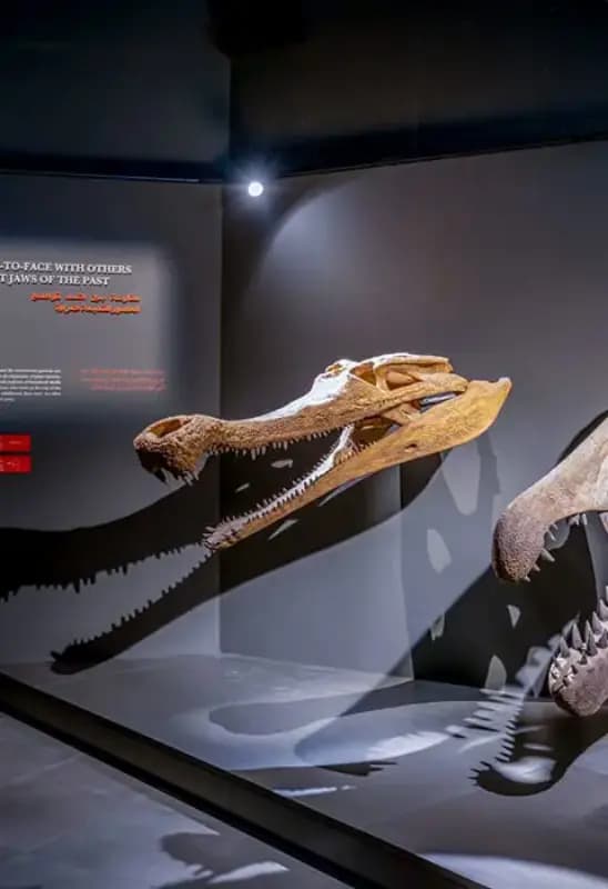 Crocodile Park Dubai — photo 2 of 5
