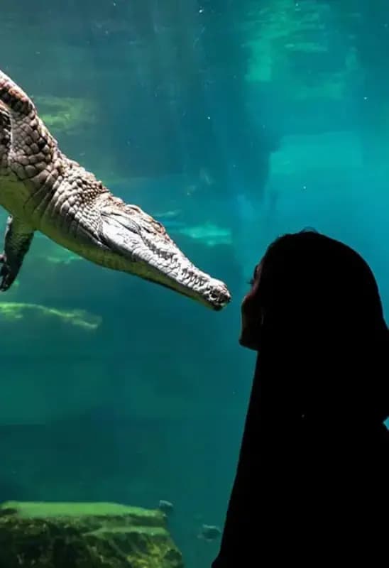 Crocodile Park Dubai — photo 4 of 5