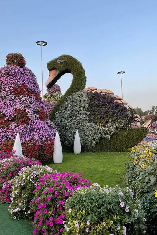 Dubai Butterfly Garden — photo 2 of 9