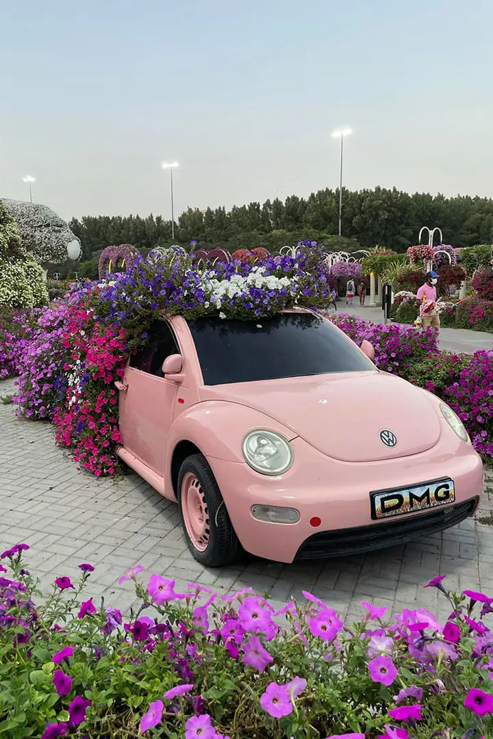 Dubai Butterfly Garden — photo 4 of 9