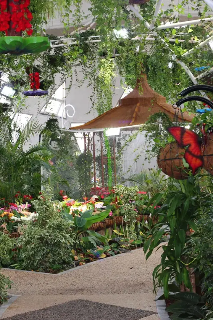 Dubai Butterfly Garden — photo 8 of 9