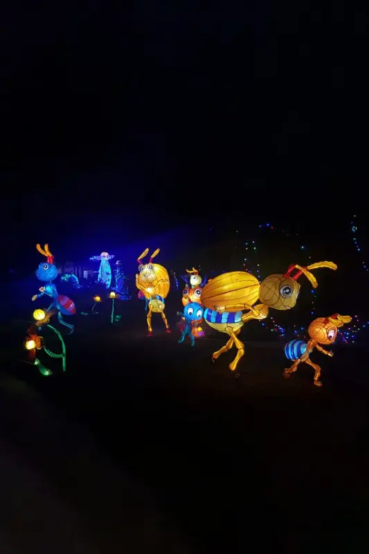 Dubai Garden Glow — photo 2 of 4