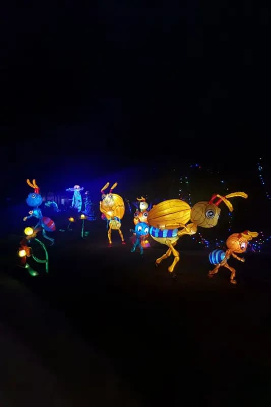 Dubai Garden Glow — photo 2 of 4