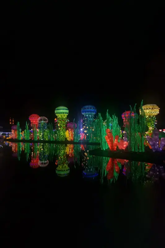Dubai Garden Glow — photo 4 of 4