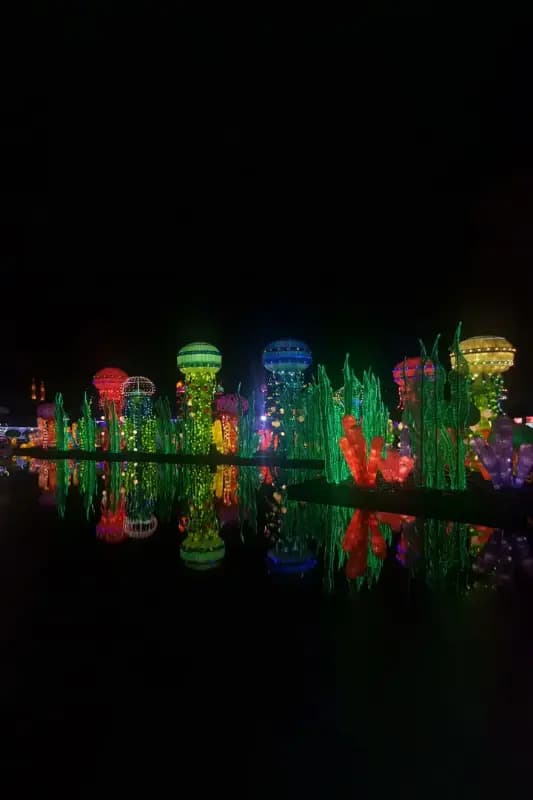Dubai Garden Glow — photo 4 of 4