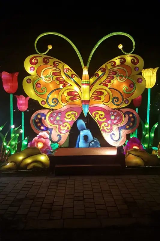 Dubai Garden Glow in Dubai City — book with Flyout Tours