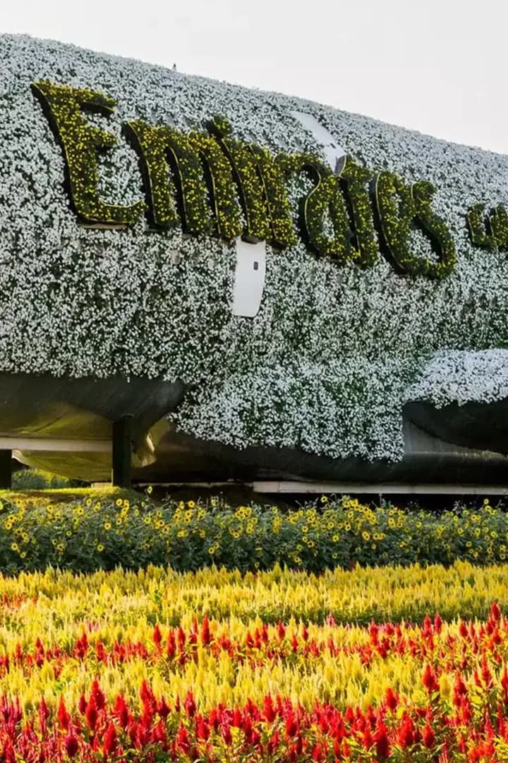Dubai Miracle Garden — photo 1 of 4