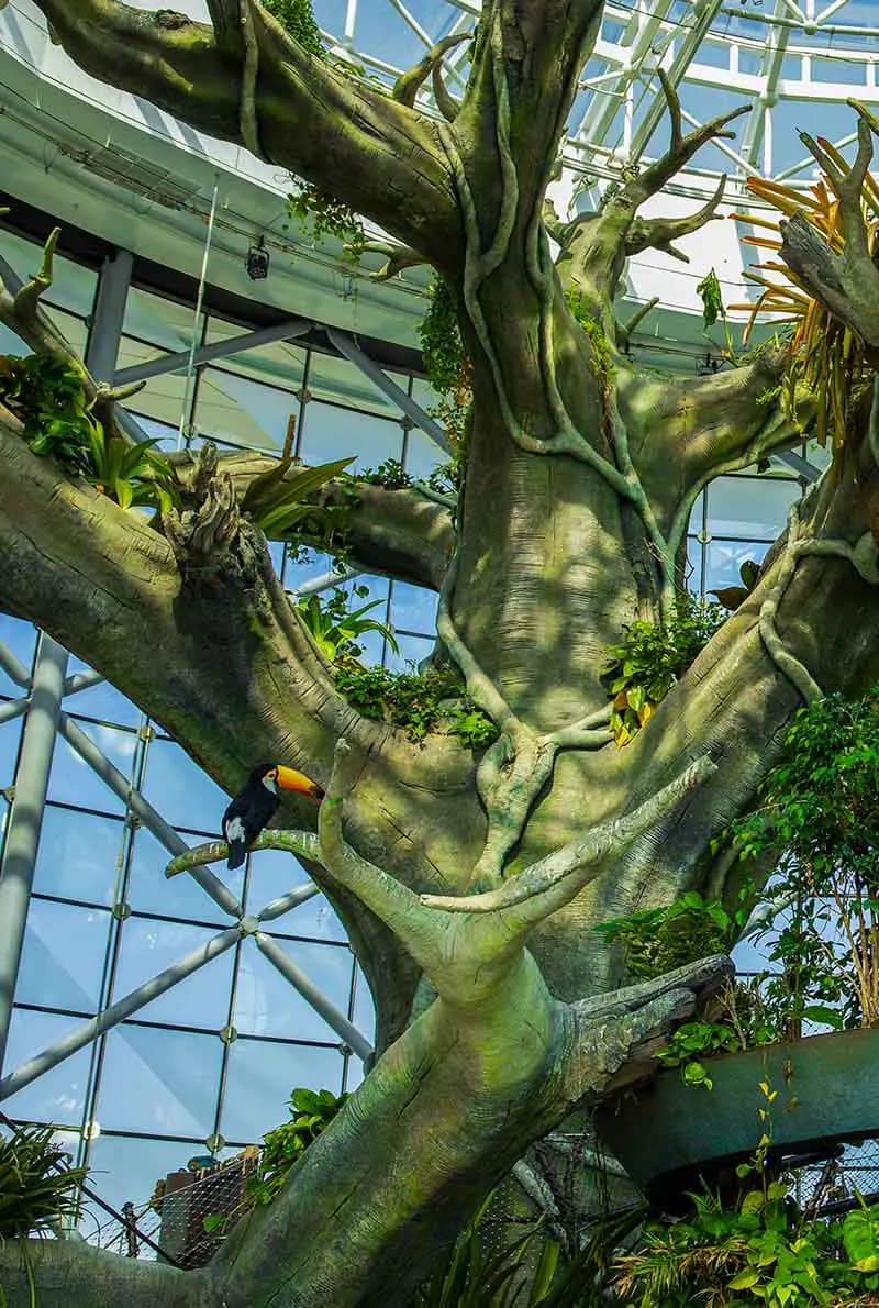 The Green Planet — photo 4 of 8
