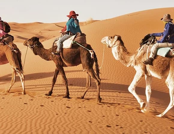Overnight Desert Safari Dubai — photo 1 of 9