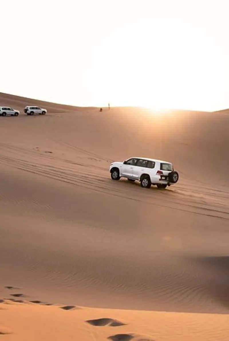 Red Dune Desert Safari — photo 4 of 6