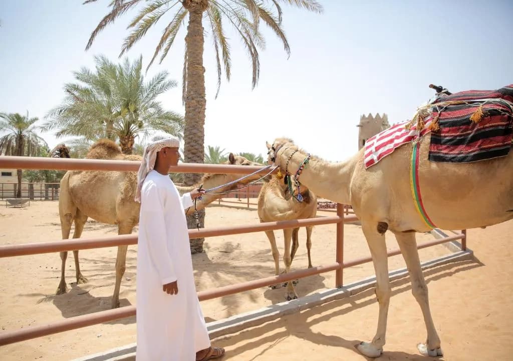 Emirates Park Resort — photo 6 of 14