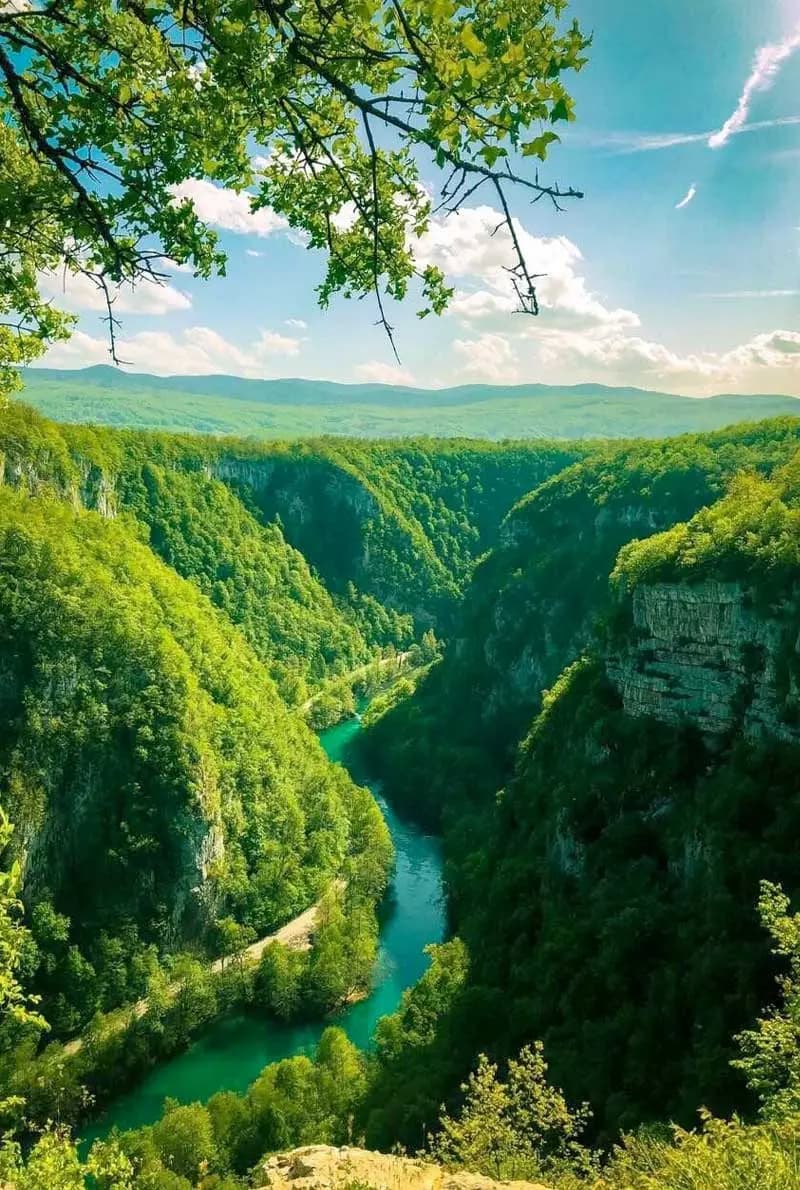 Bosnia Visa Assist — photo 7 of 7