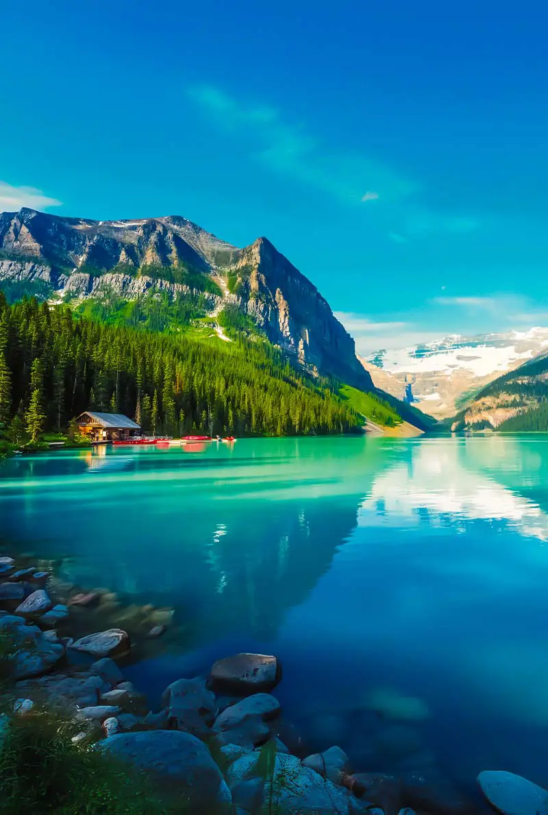Canada Visa Assist — photo 1 of 5