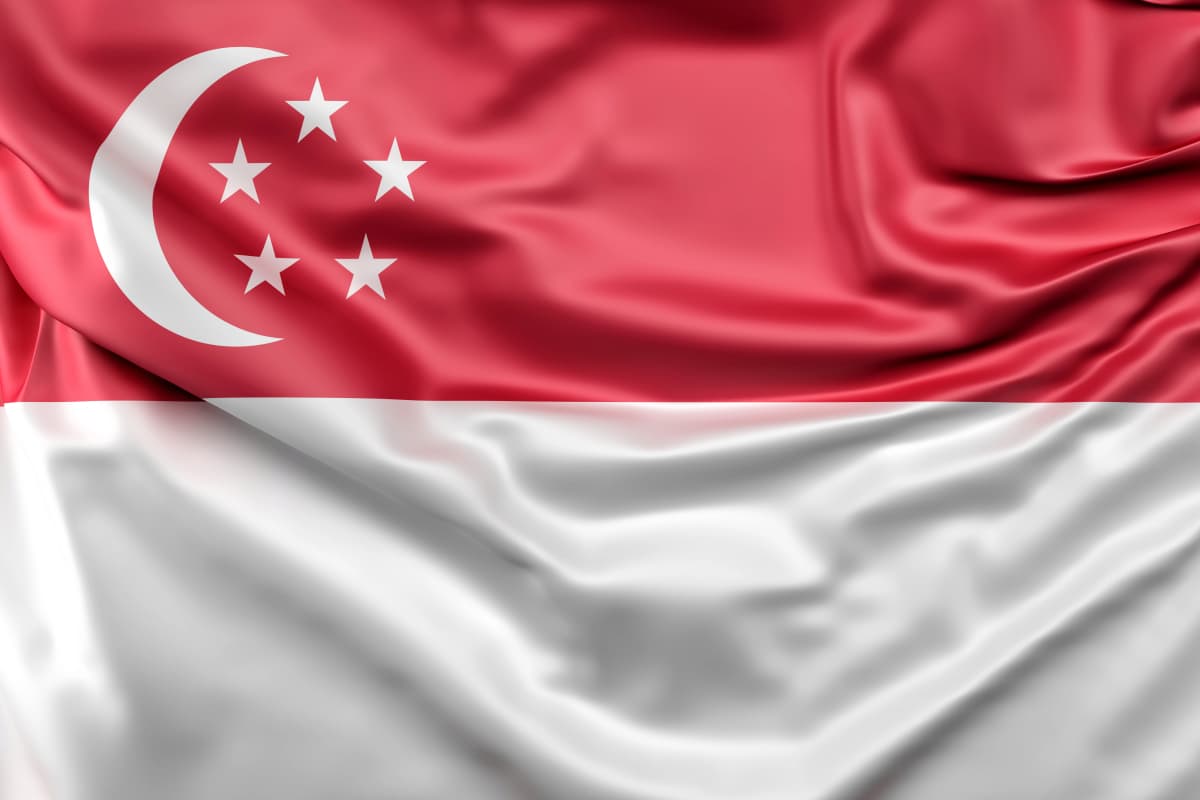 Singapore Visa Assistance — photo 1 of 1