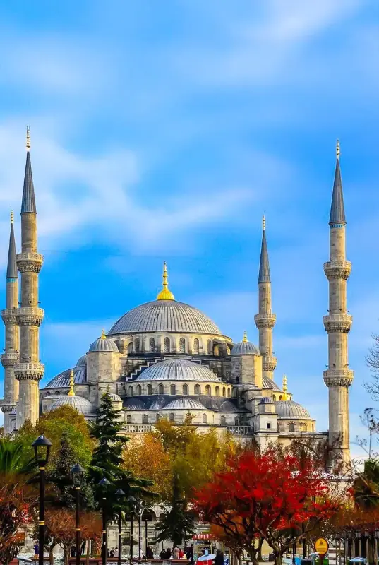 Turkey Visa Assist — photo 3 of 4