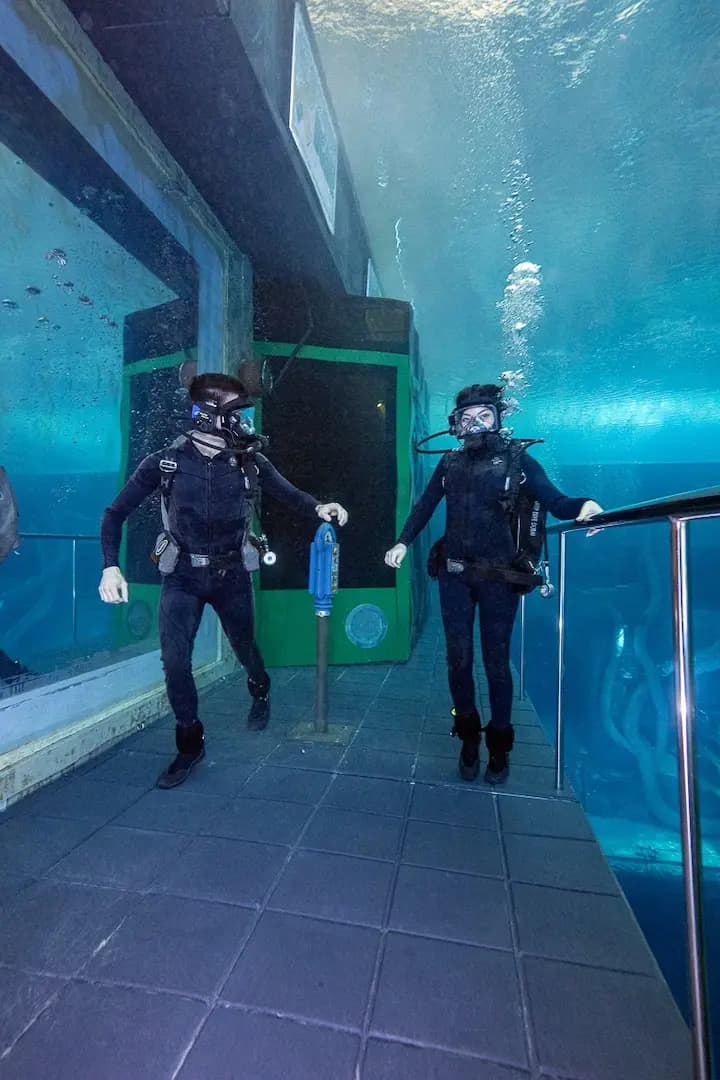 Deep Dive Dubai — photo 13 of 13