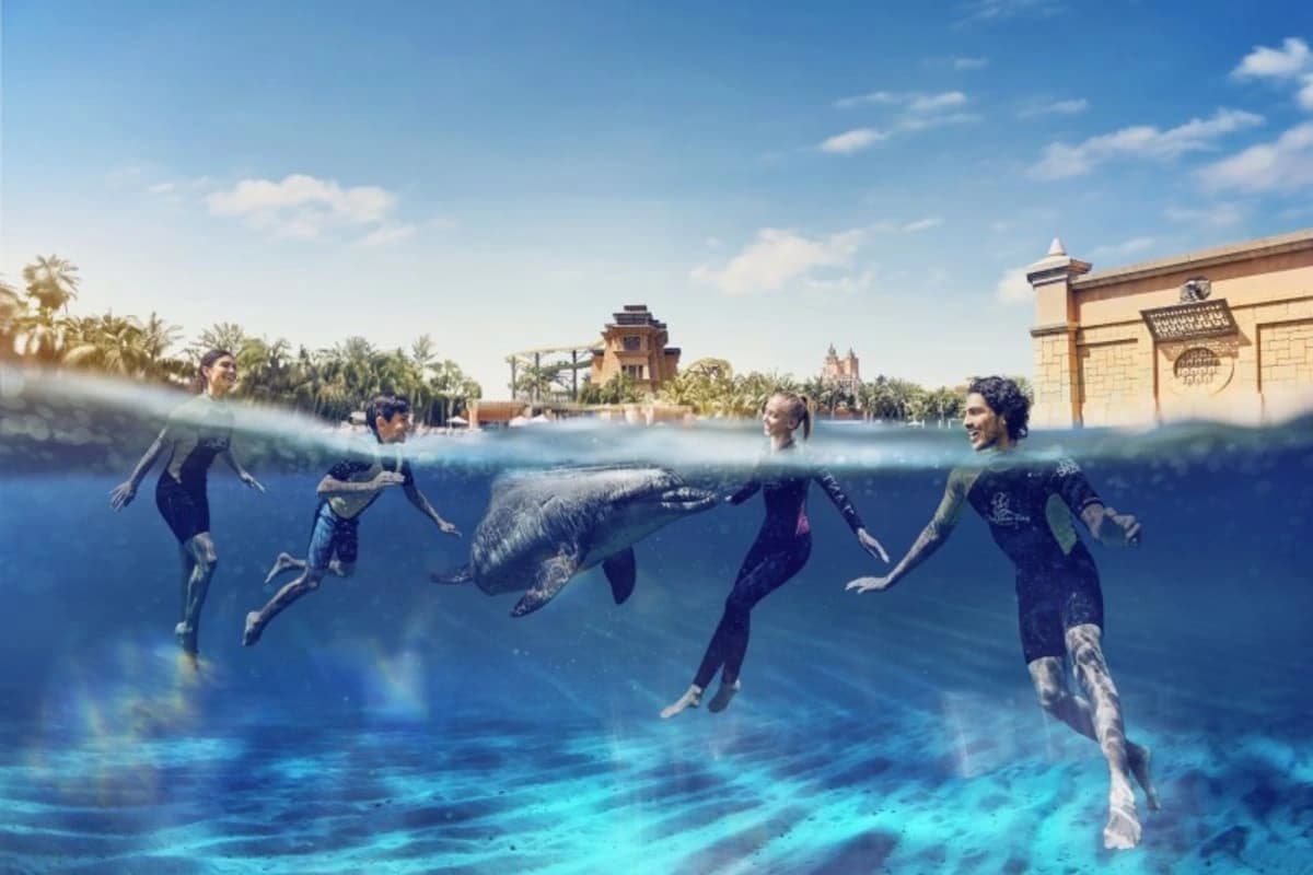 Dolphin Bay Atlantis — photo 3 of 5