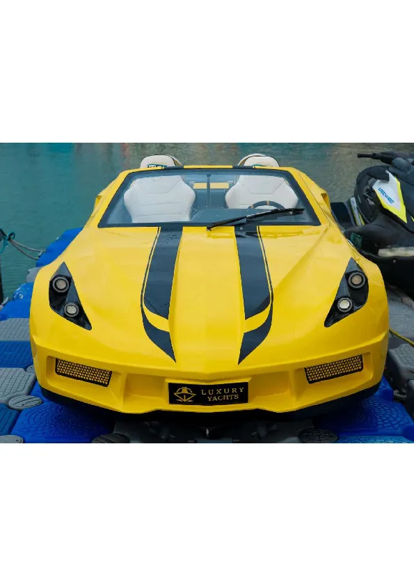 Jet Car Experience — photo 9 of 11