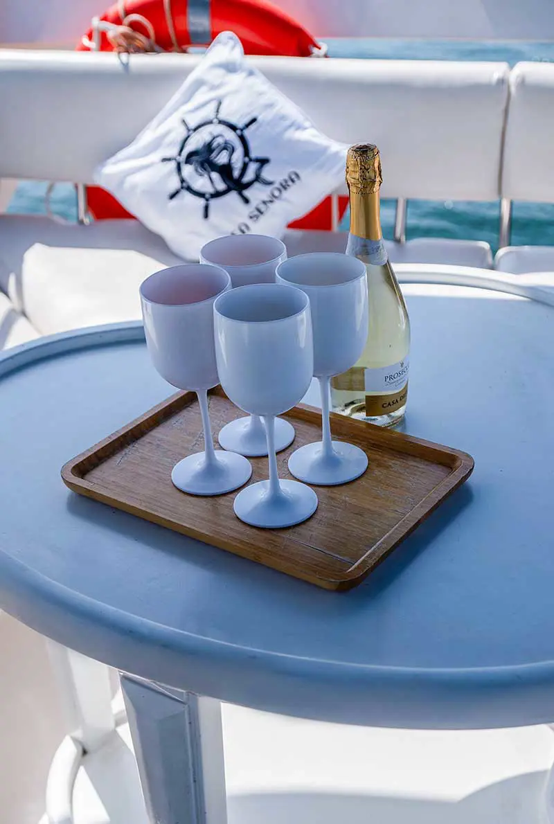 Private Sea Senora Leisure Yachts — photo 8 of 8