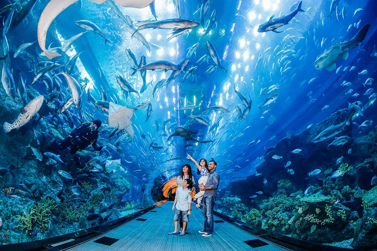 Best places to visit in Dubai including Burj Khalifa, Dubai Mall Aquarium, Palm Jumeirah and Dubai Marina