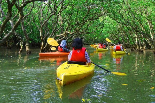 Abu Dhabi Kayak Adventure